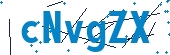 recaptcha